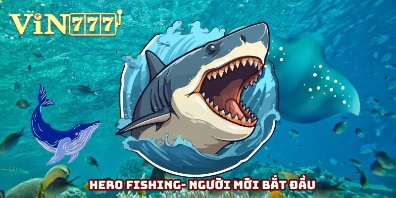 Hero Fishing dành cho người mới bắt đầu Hero Fishing dành cho người mới bắt đầu