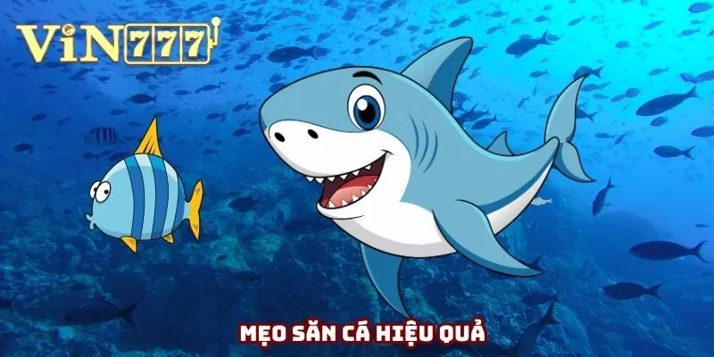 Mẹo săn cá hiệu quả Mẹo săn cá hiệu quả