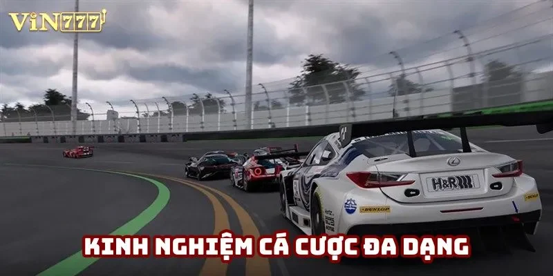 Kinh nghiệm cá cược đa dạng Kinh nghiệm cá cược đa dạng