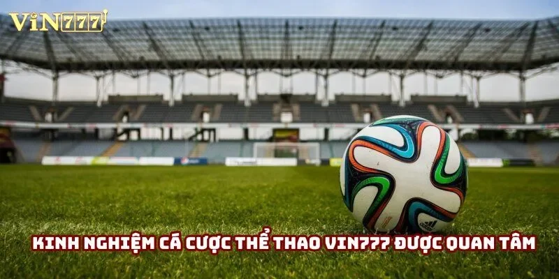 Kinh nghiệm cá cược thể thao Vin777 được quan tâm Kinh nghiệm cá cược thể thao Vin777 được quan tâm